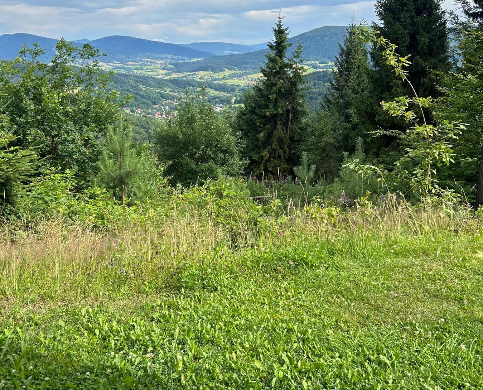 Bed and Breakfast Gosciniec Pod Lubomirem Weglowka  Exterior foto